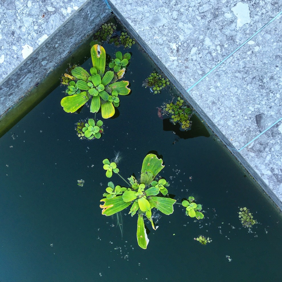 частный дом