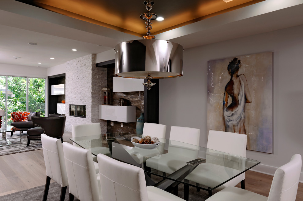 Mid-sized contemporary kitchen/dining combo in DC Metro with grey walls, light hardwood floors, a standard fireplace and a stone fireplace surround.