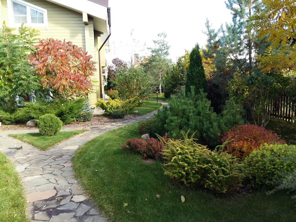 Витро Кантри