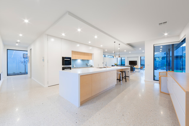 Turner Residence 1 contemporary-kitchen