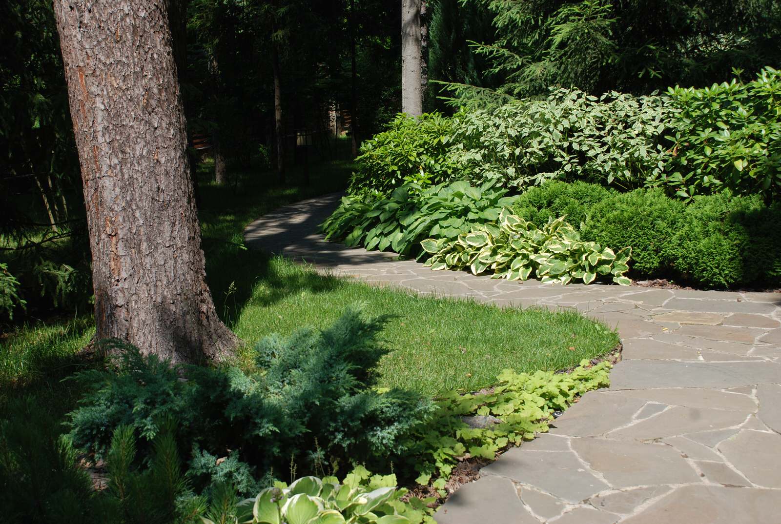 Лесной участок в КП "РИИТА"