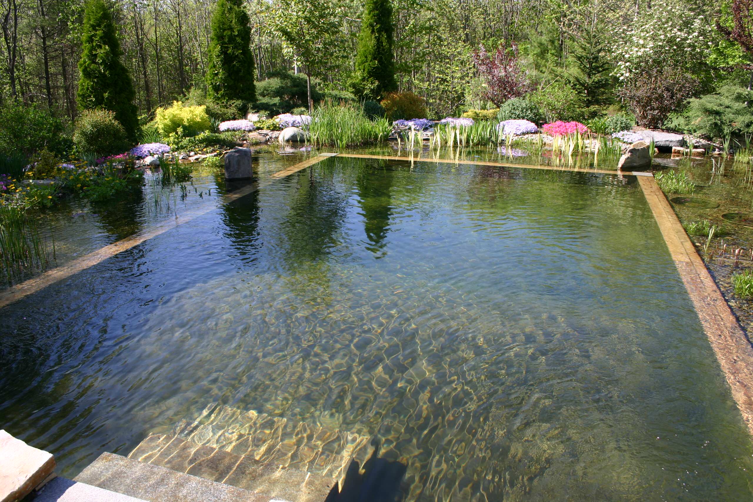 Natural Swimming Pools: More Beauty, No Chemicals, image size:2560x1706