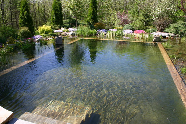 Pierce Lanucha Natural Swimming Pool traditional-pool