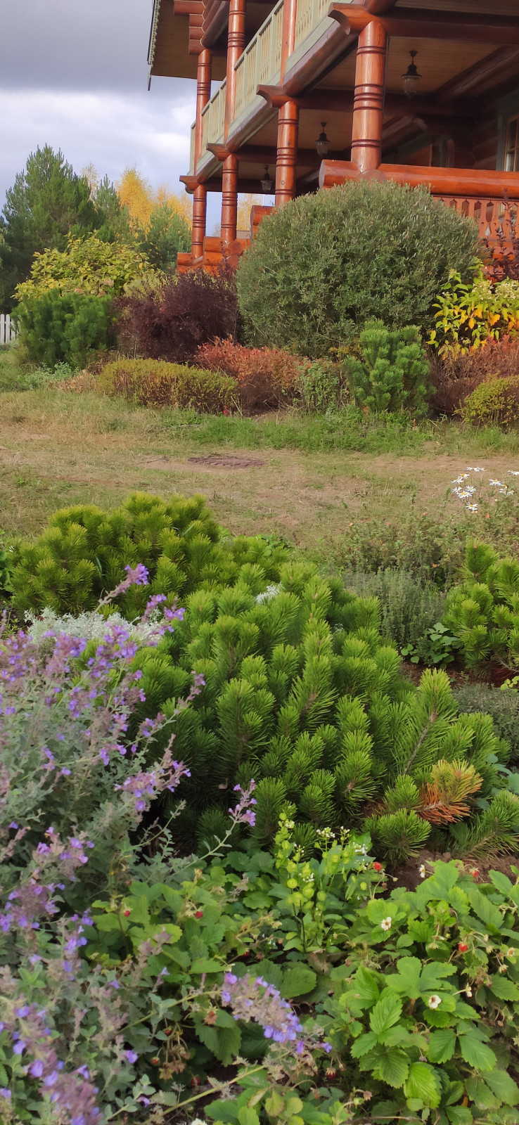 Проект "Волга"