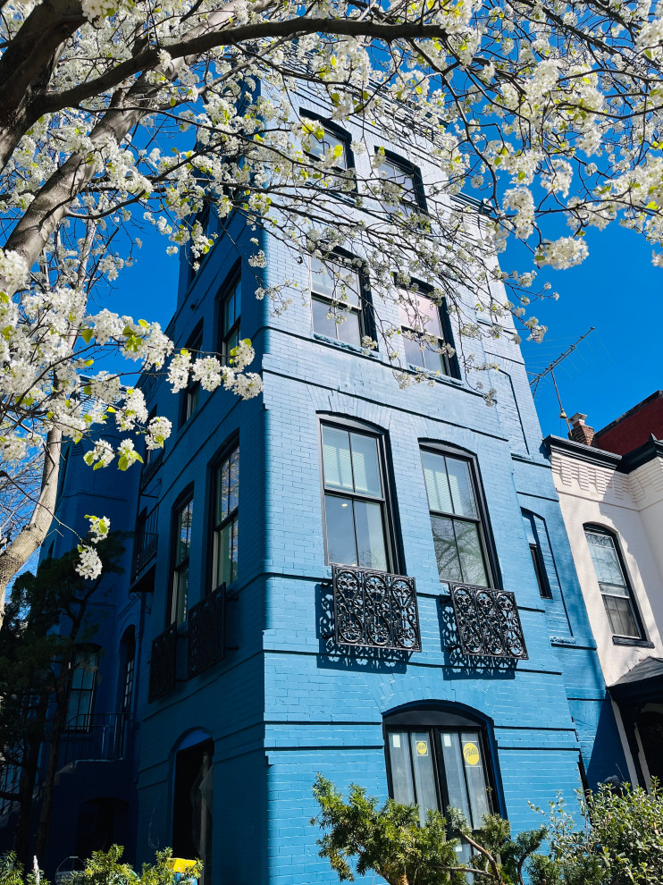 Capitol Hill, DC Renovation