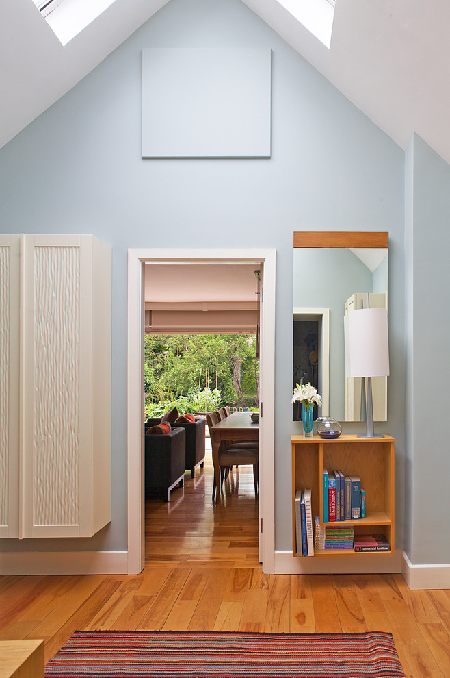 Inspiration for a contemporary entryway in Dublin with blue walls.