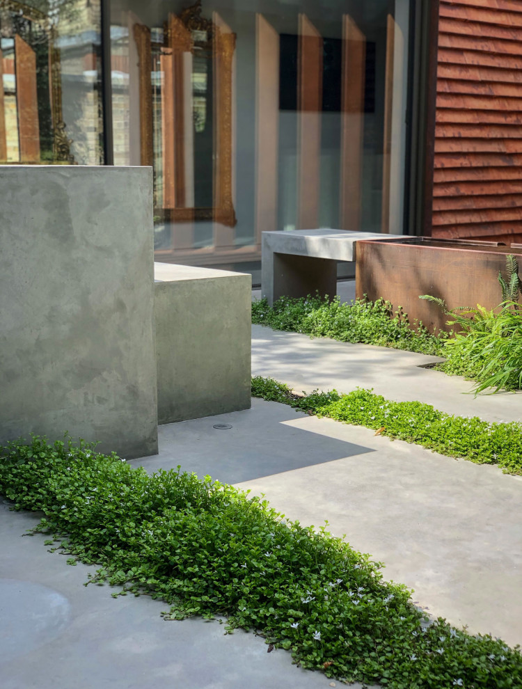 Cette image montre un petit jardin minimaliste.