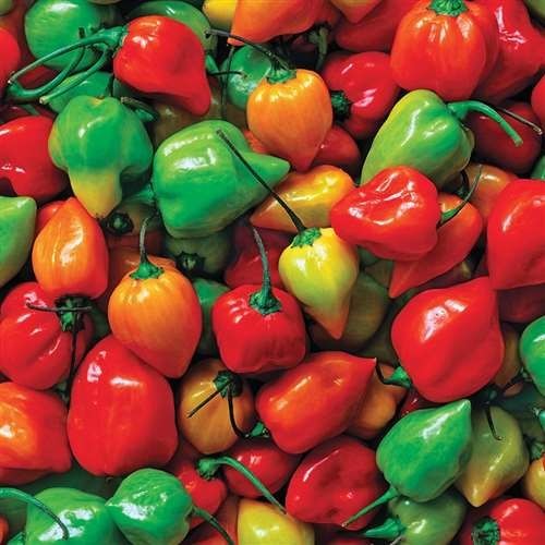 Hot Peppers Puzzle