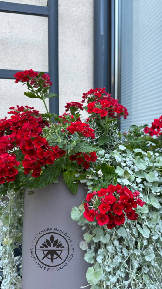 Сад с мужским характером