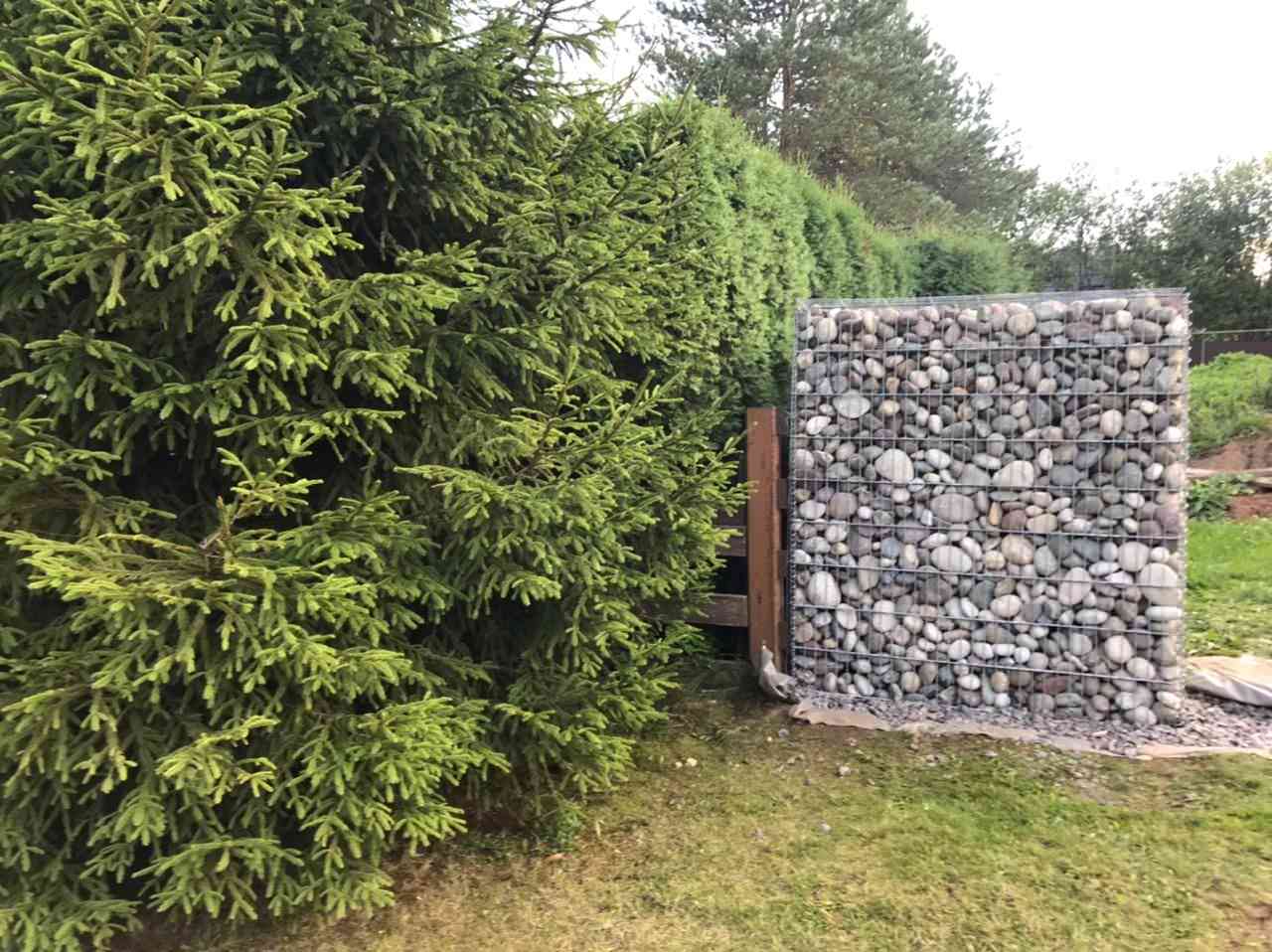 Пергона с засыпкой из речной гальки