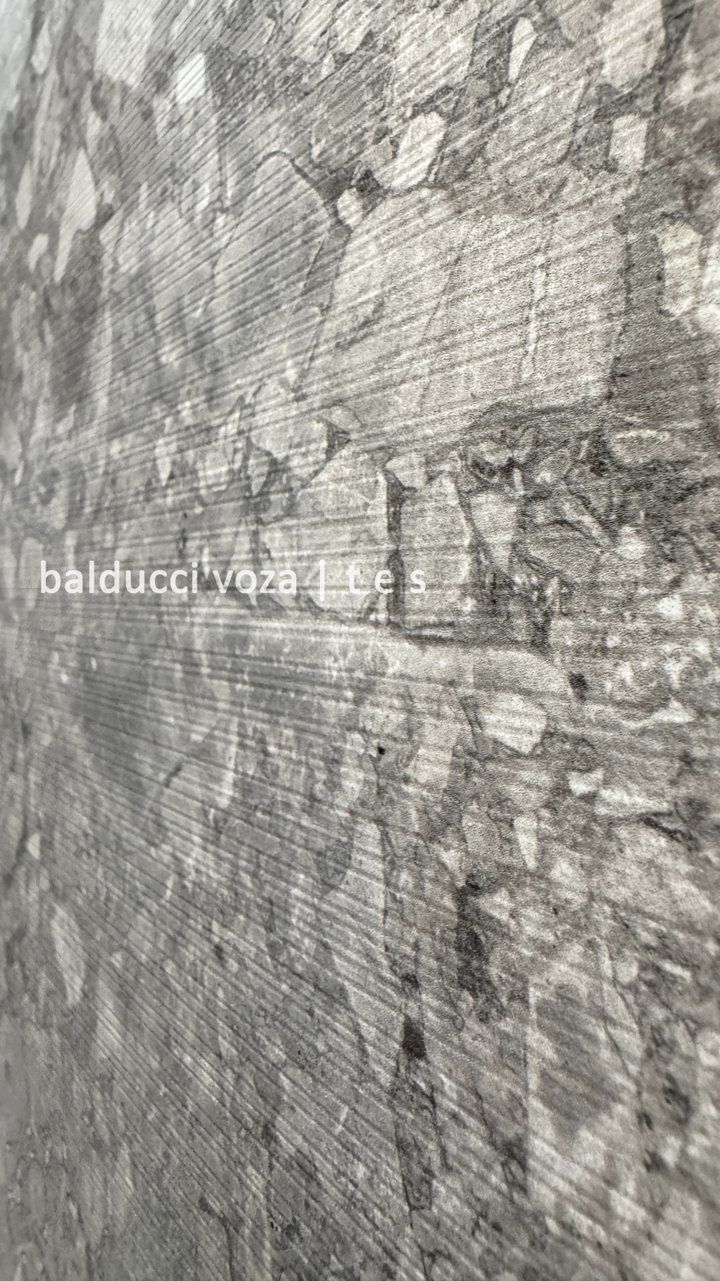 APT_2S - Restyling/Refurbishing - Roma