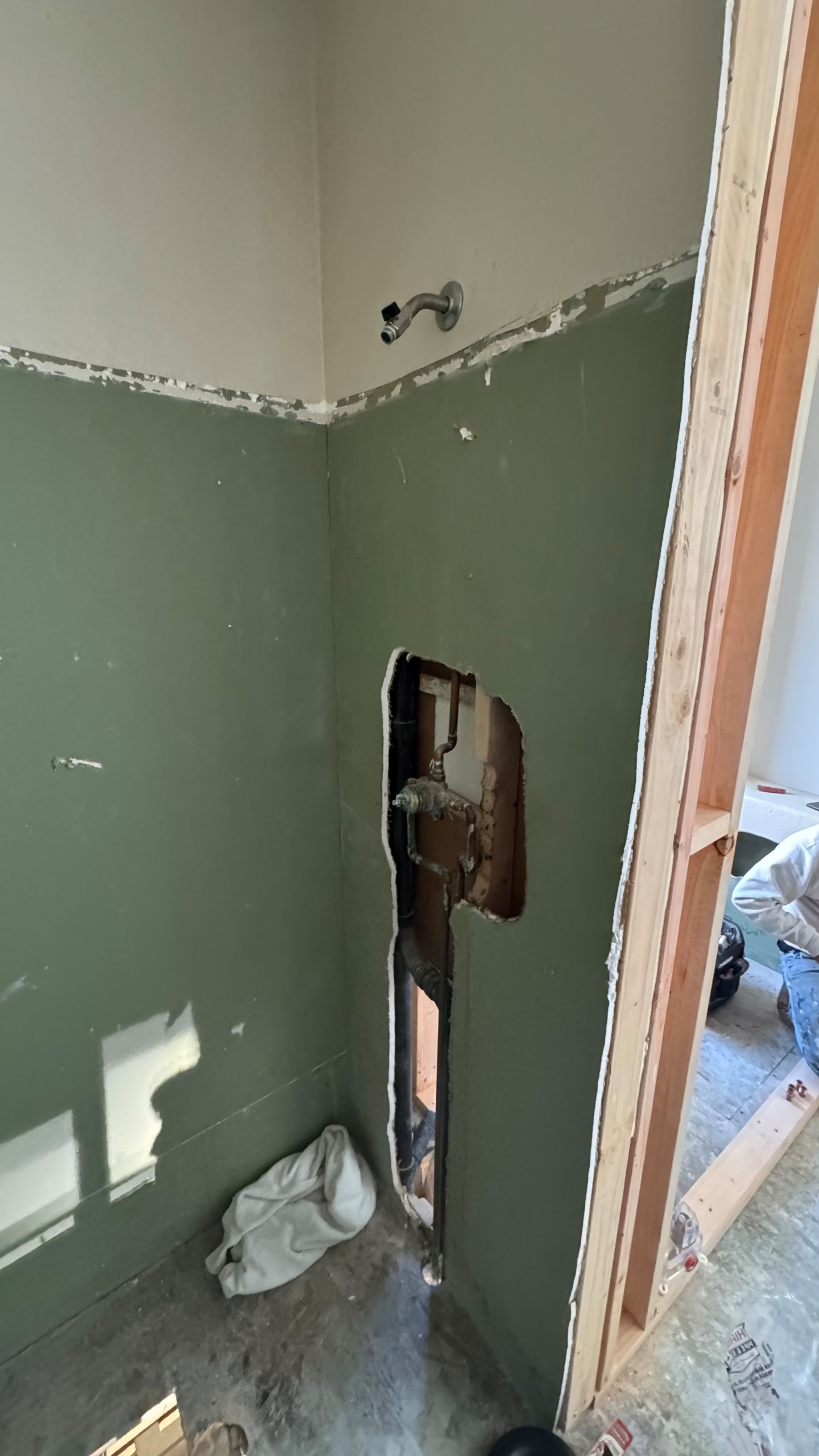 Master bathroom remodeling - Acton