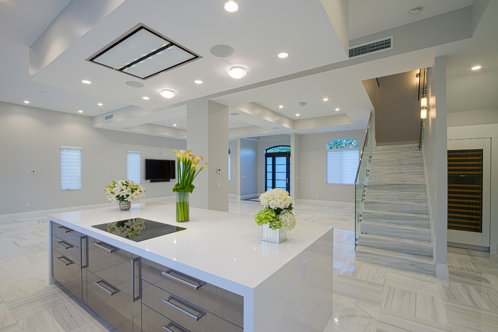 Home design - transitional home design idea in Miami