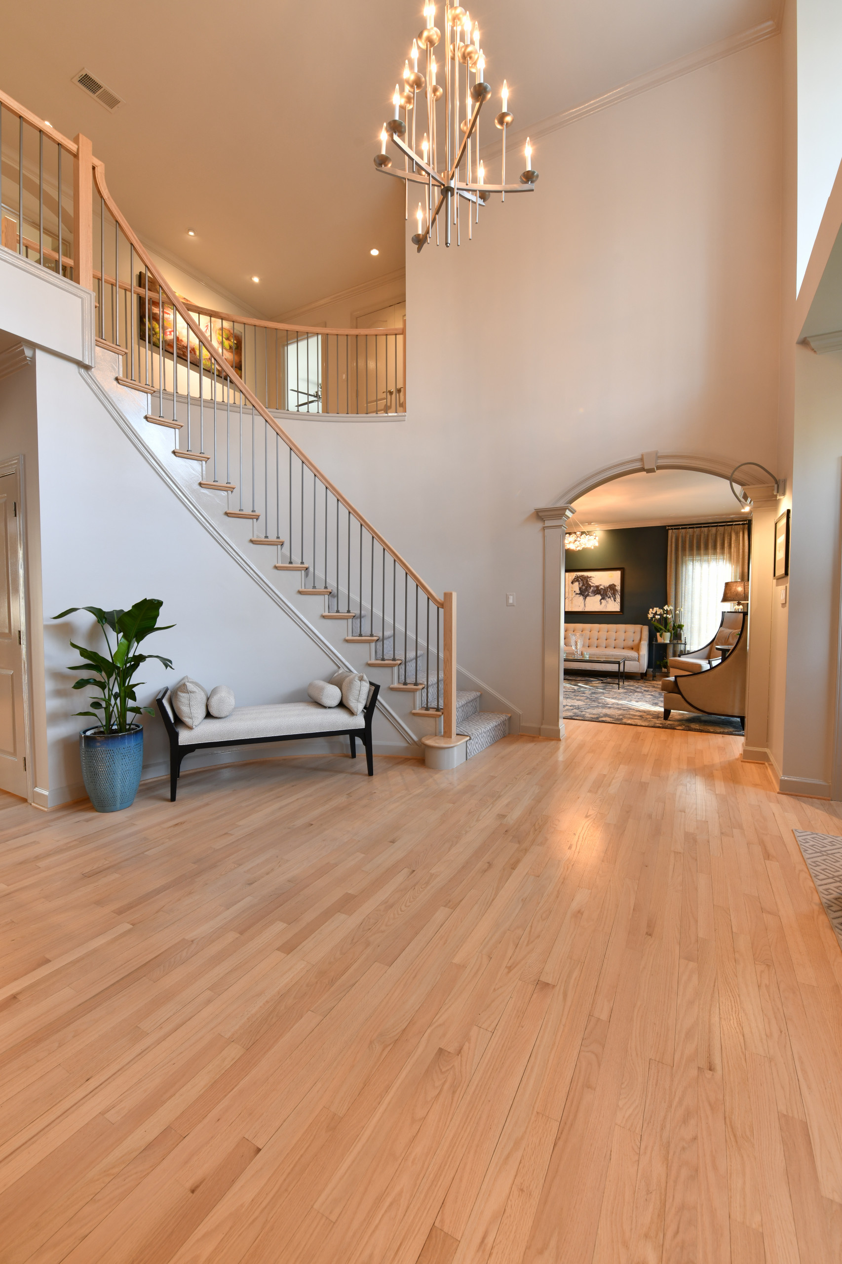 Reston Whole Home