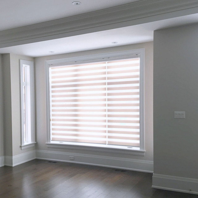 Combi/Zebra Shades contemporary-hall