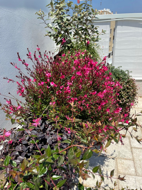 Terrazzo contemporaneo-terraza-y-balcon