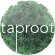Taproot Studio