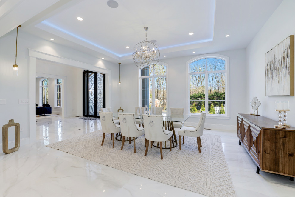 Enclosed dining room - huge contemporary porcelain tile, white floor and tray ceiling enclosed dining room idea in DC Metro with white walls
