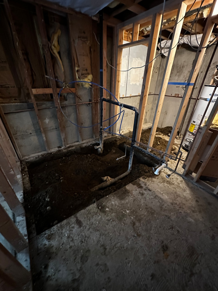 Federal Way Basement Remodel