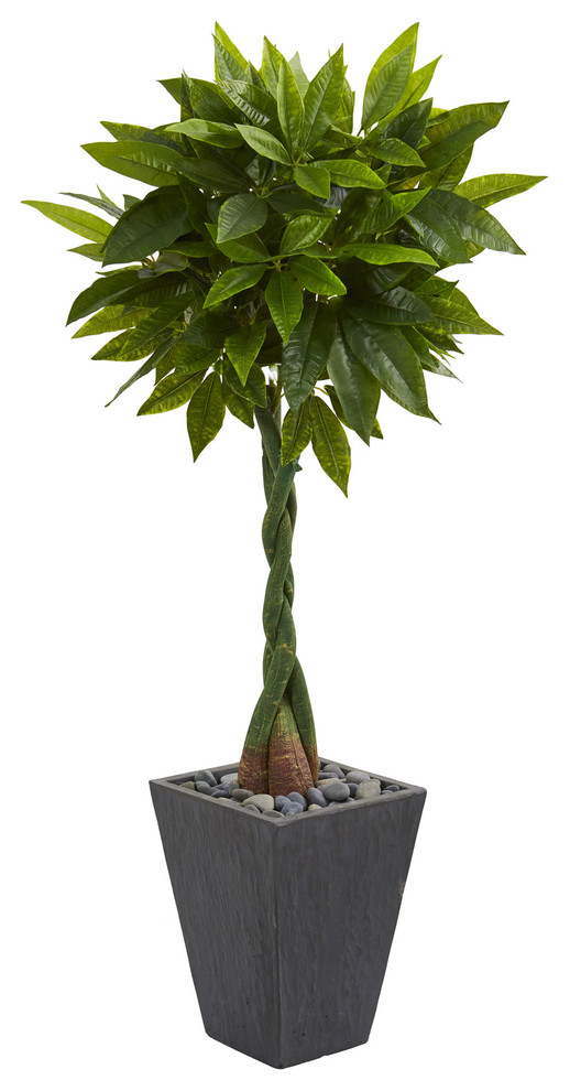 5' Money Artificial Tree, Slate Planter, Real Touch Contemporary