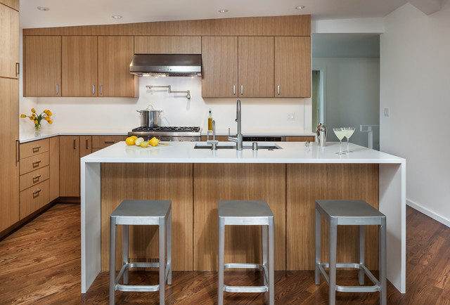 Kitchen contemporary-kitchen