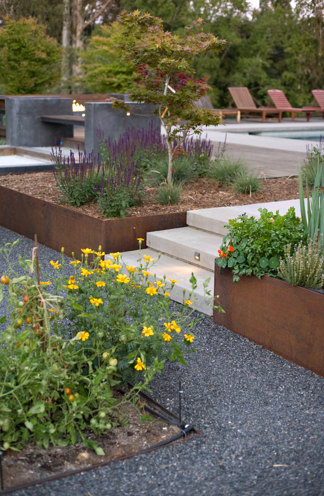 This is an example of a modern garden in San Francisco with a garden path.