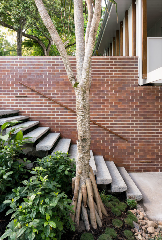 Inspiration for a midcentury entryway in Brisbane.
