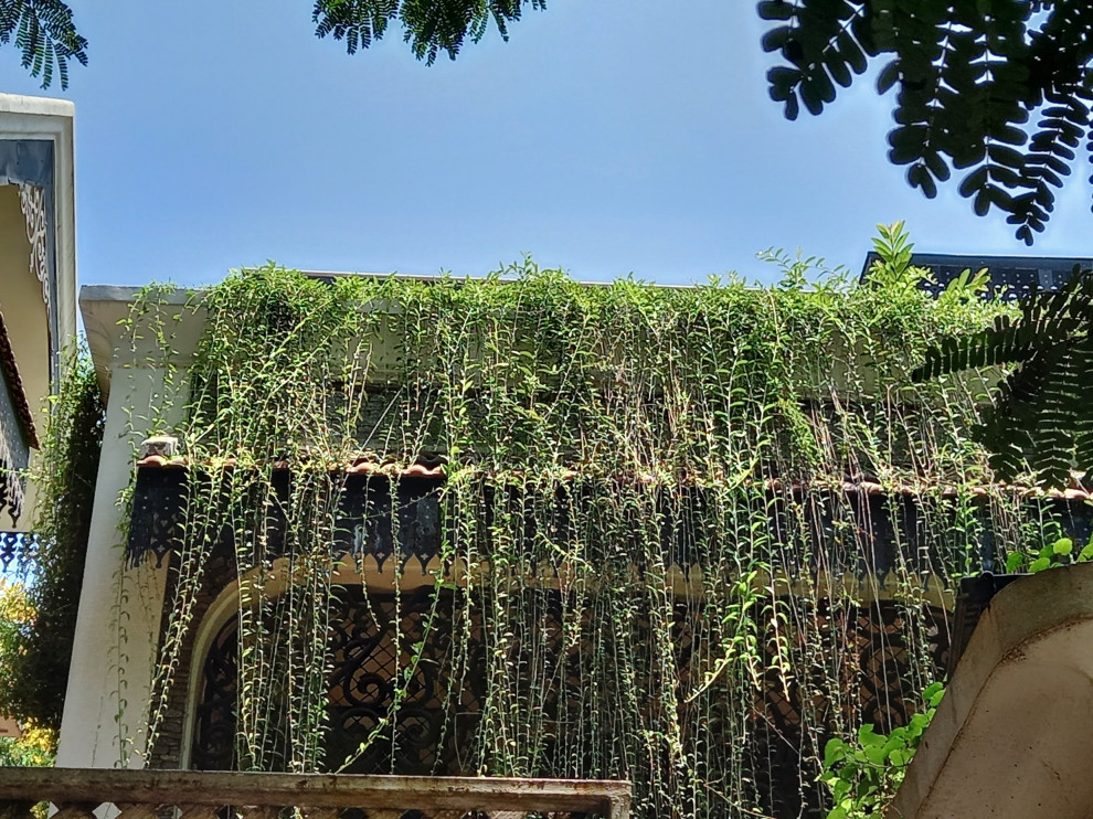 Photo of an Indian garden in Chennai.
