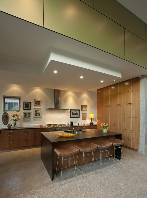 Goodman Residence modern-koek