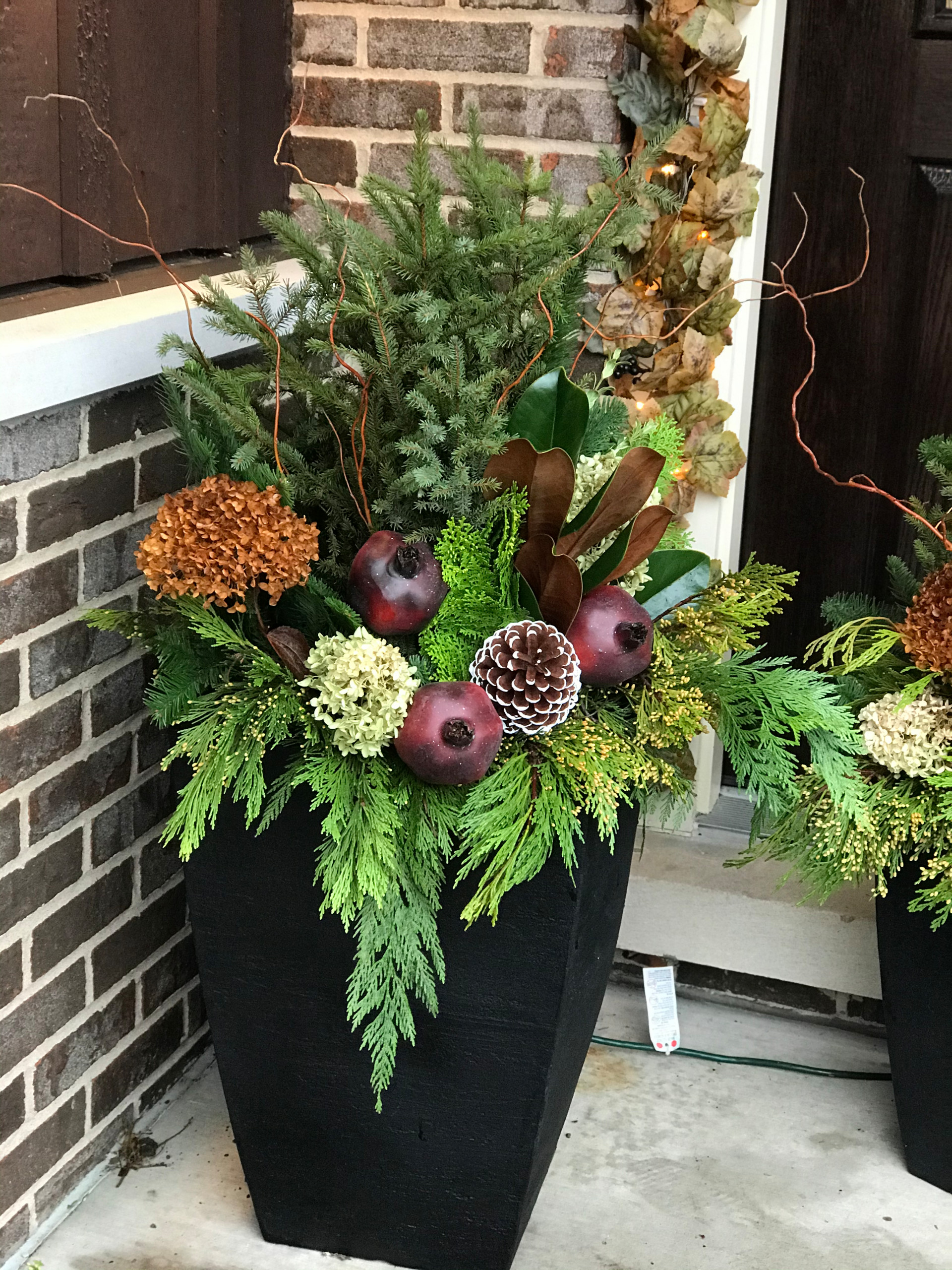Winter containers and Holiday Decorations