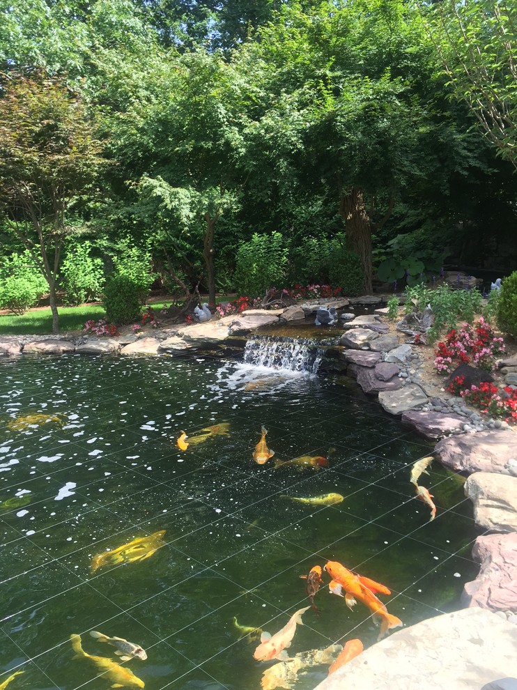 The Importance Of Cleaning And Maintaining The Pond With The Help Of Pond Maintenance Contractors Youramazingplaces Com