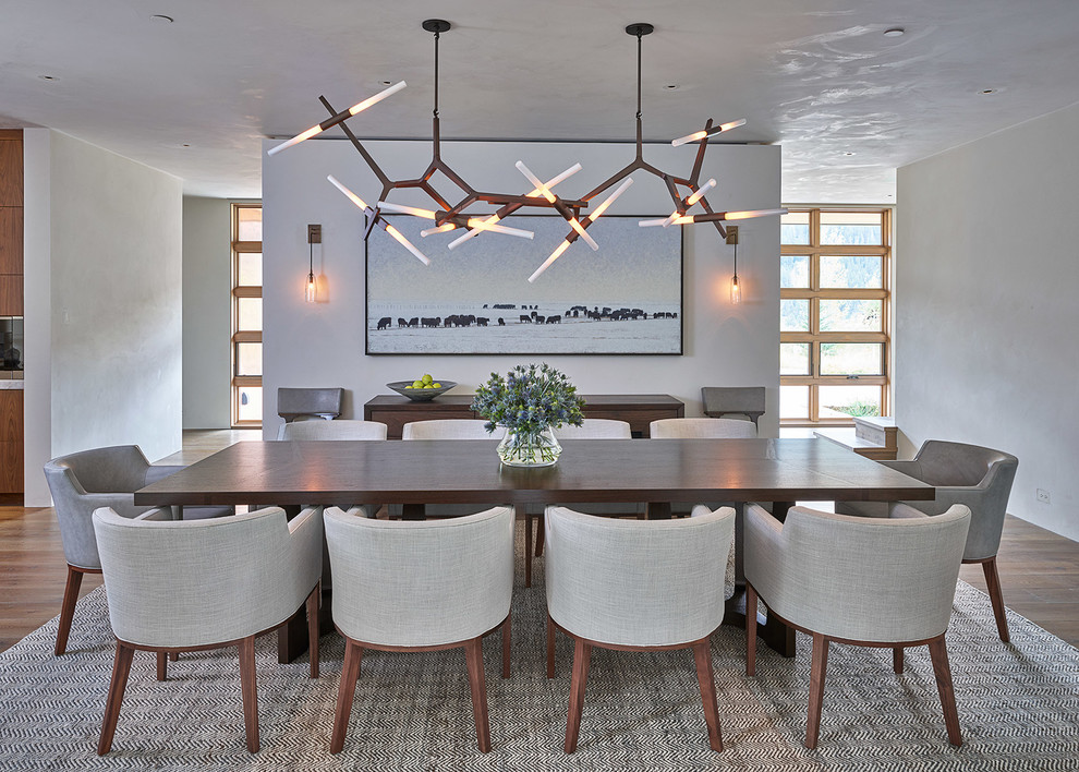 Inspiration for a contemporary dining room in Other with white walls and medium hardwood floors.