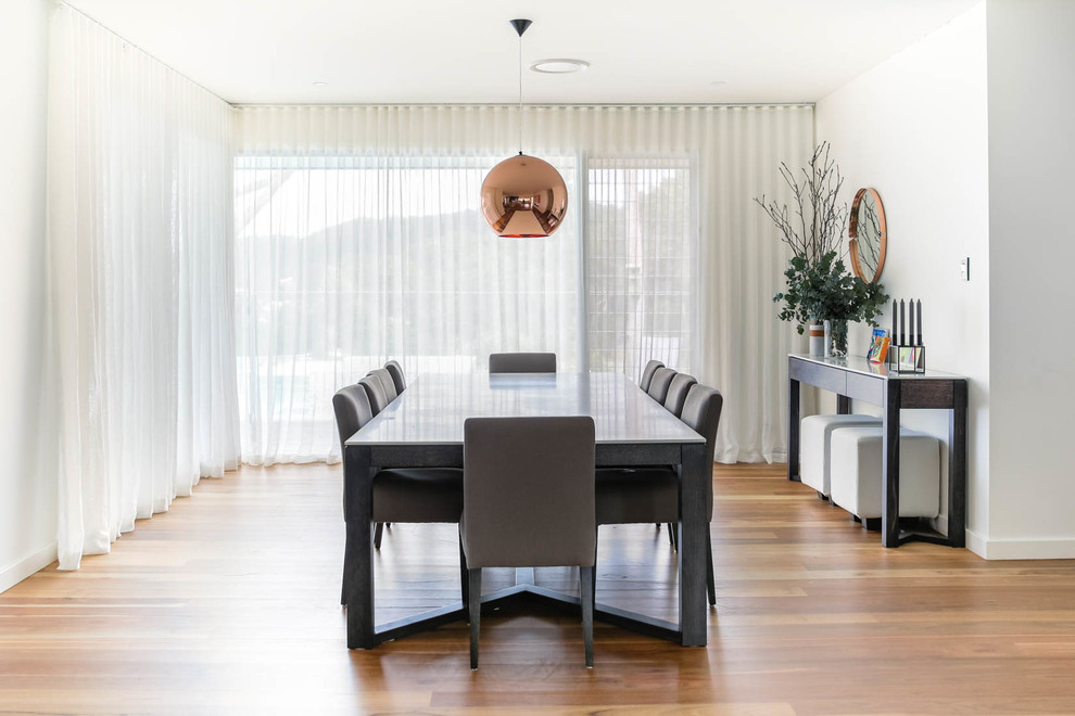 Design ideas for a contemporary separate dining room in Newcastle - Maitland with white walls, medium hardwood floors and brown floor.