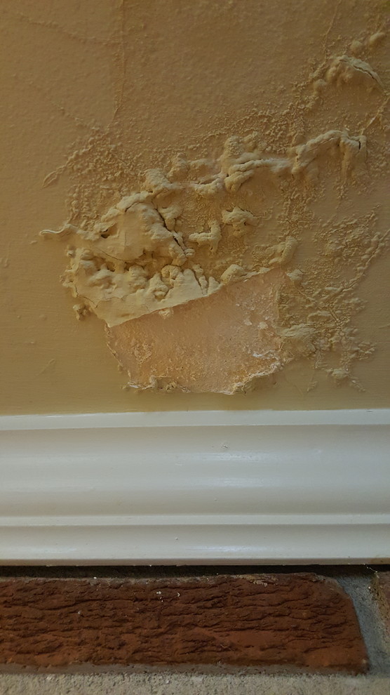 Blistering Ceiling Paint