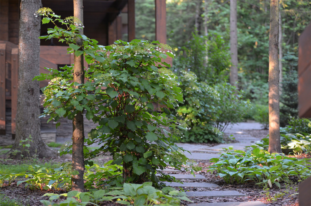 Благоустройство лесной (частной) территории