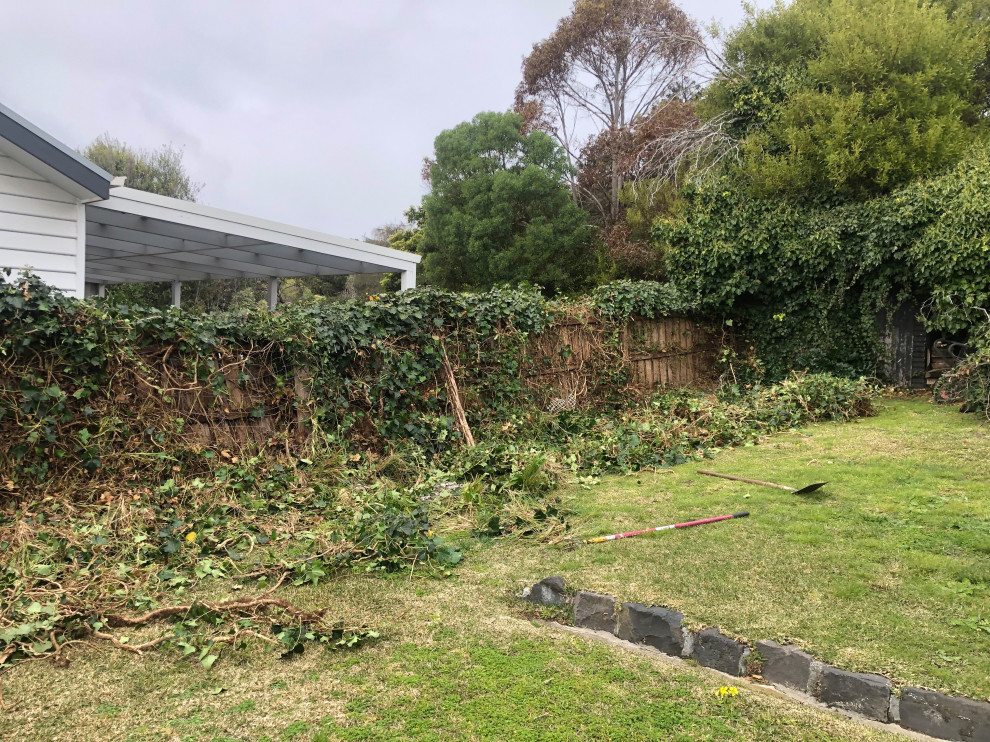 Geometrischer, Mittelgroßer Klassischer Garten im Frühling, hinter dem Haus mit Sichtschutz, direkter Sonneneinstrahlung und Holzzaun in Melbourne