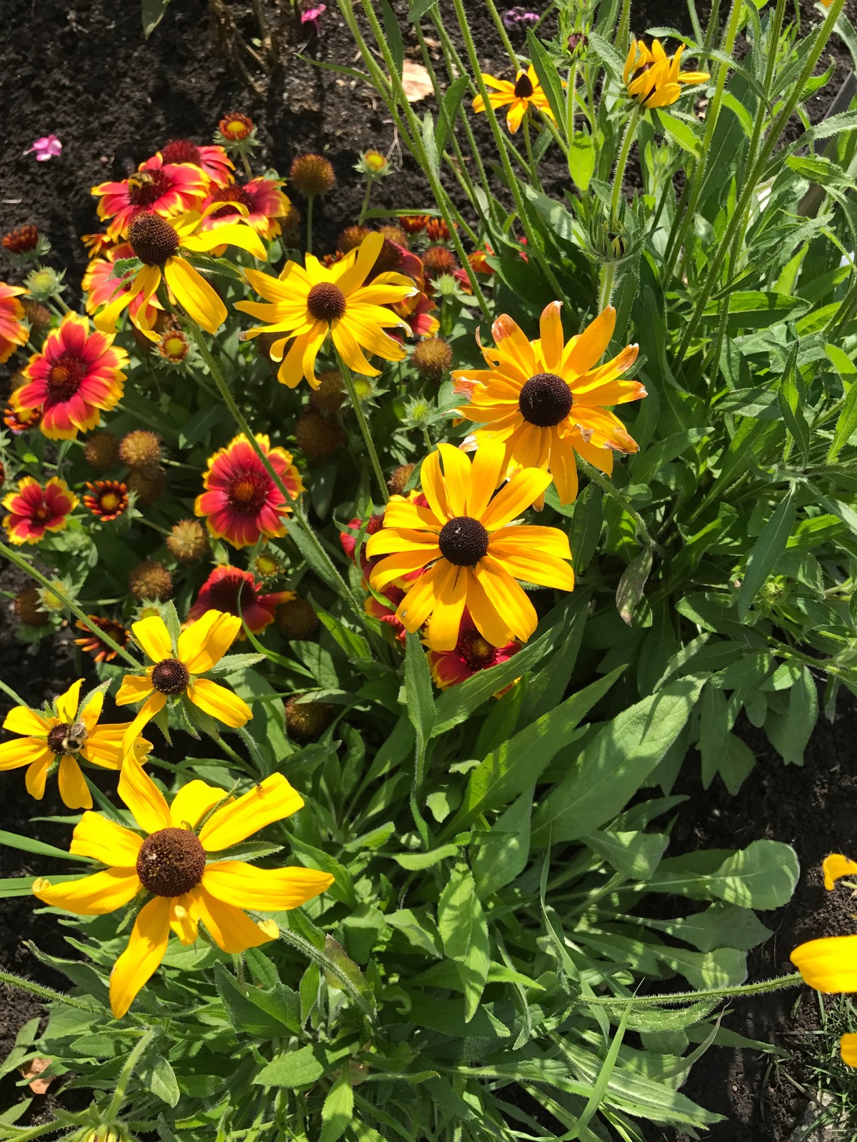 Малинки Виладж