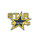 Star Exteriors LLC