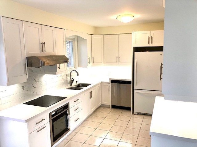 Kindree Small Kitchen Renovation