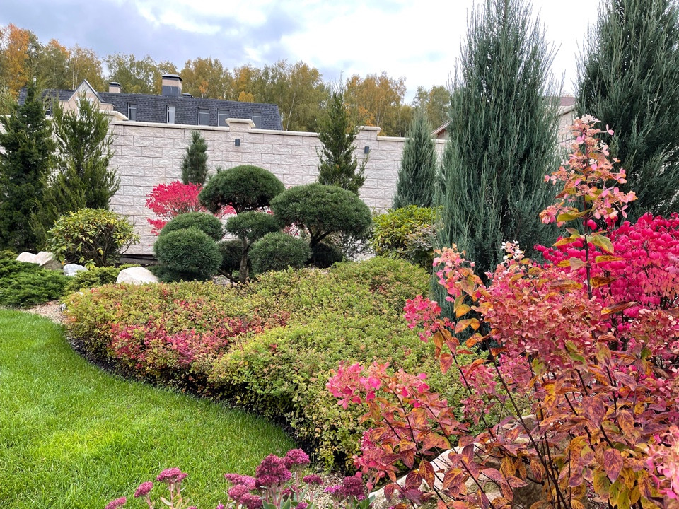 Сад "Бархатный сезон"