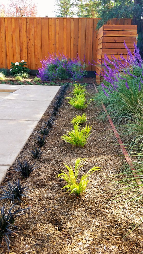 Design ideas for a small modern backyard full sun formal garden for spring in San Francisco with gravel.