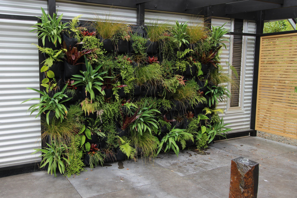 Inspiration for a small tropical courtyard patio in Other with a vertical garden.