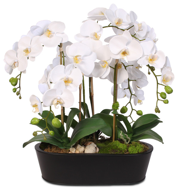 Real Touch White Phalaenopsis Orchids With Oval Metal Planter Transitional Artificial Flower Arrangements By Jenny Silks
