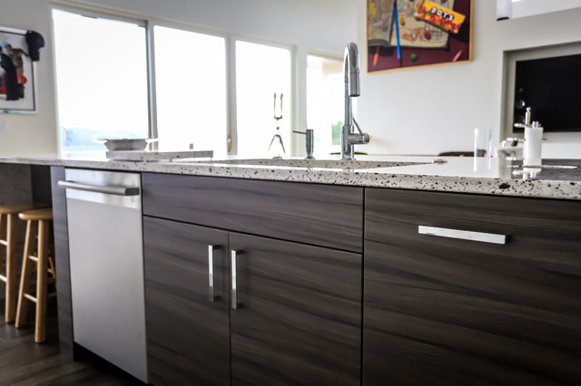 Contemporary New Build on the Mississippi contemporary-kitchen