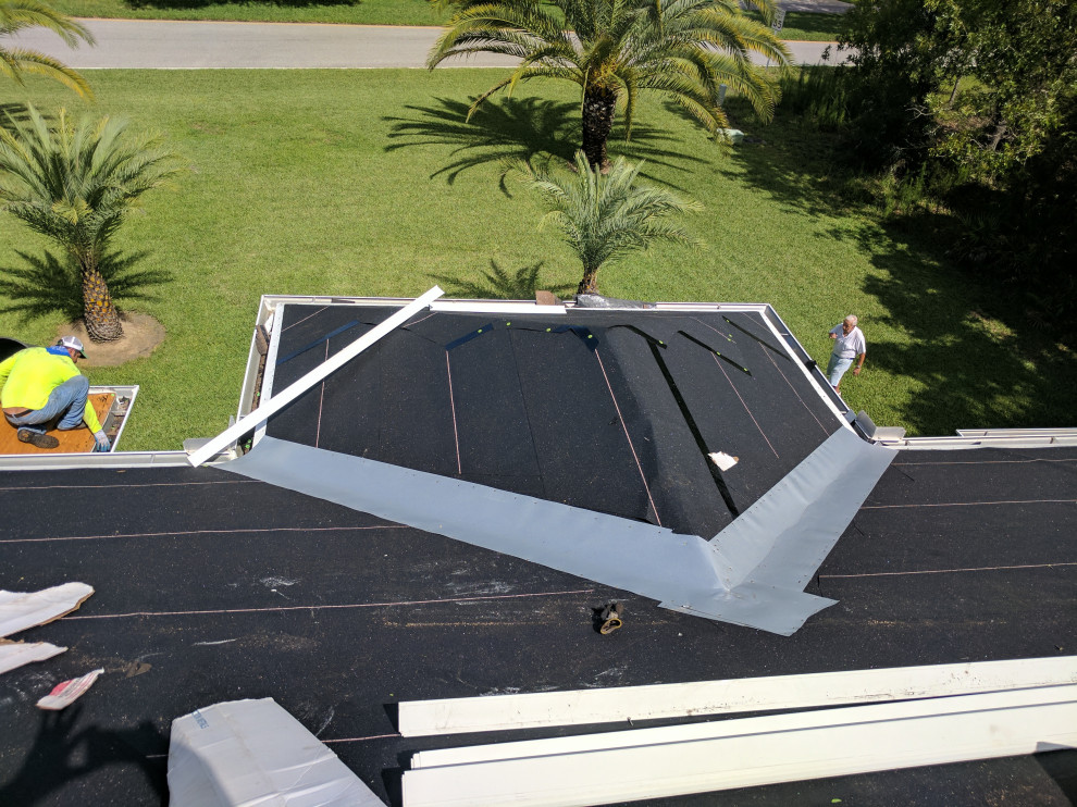 Shingle Roof