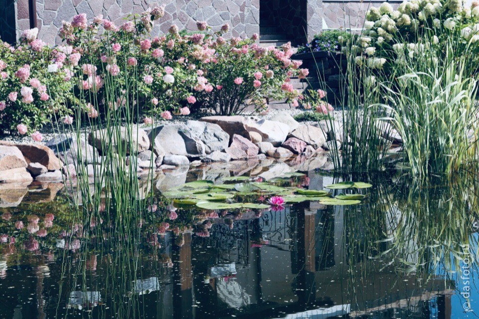 "реконструкция водоема"