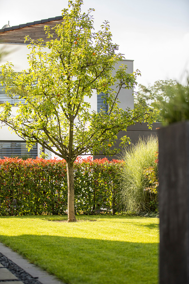 Photo of a contemporary side yard garden in Dusseldorf.
