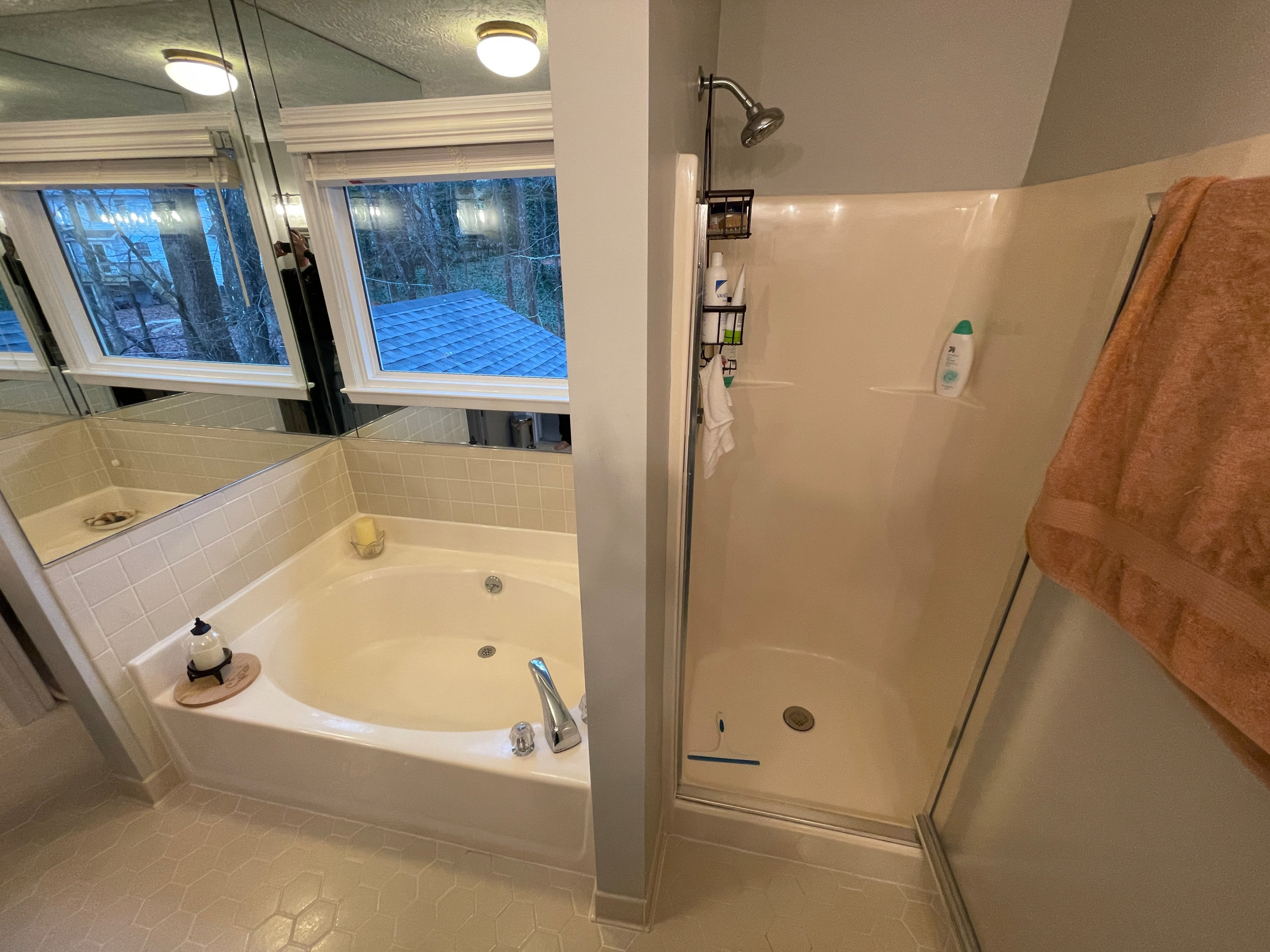 Master Bathroom & Guest Bathroom Renovation