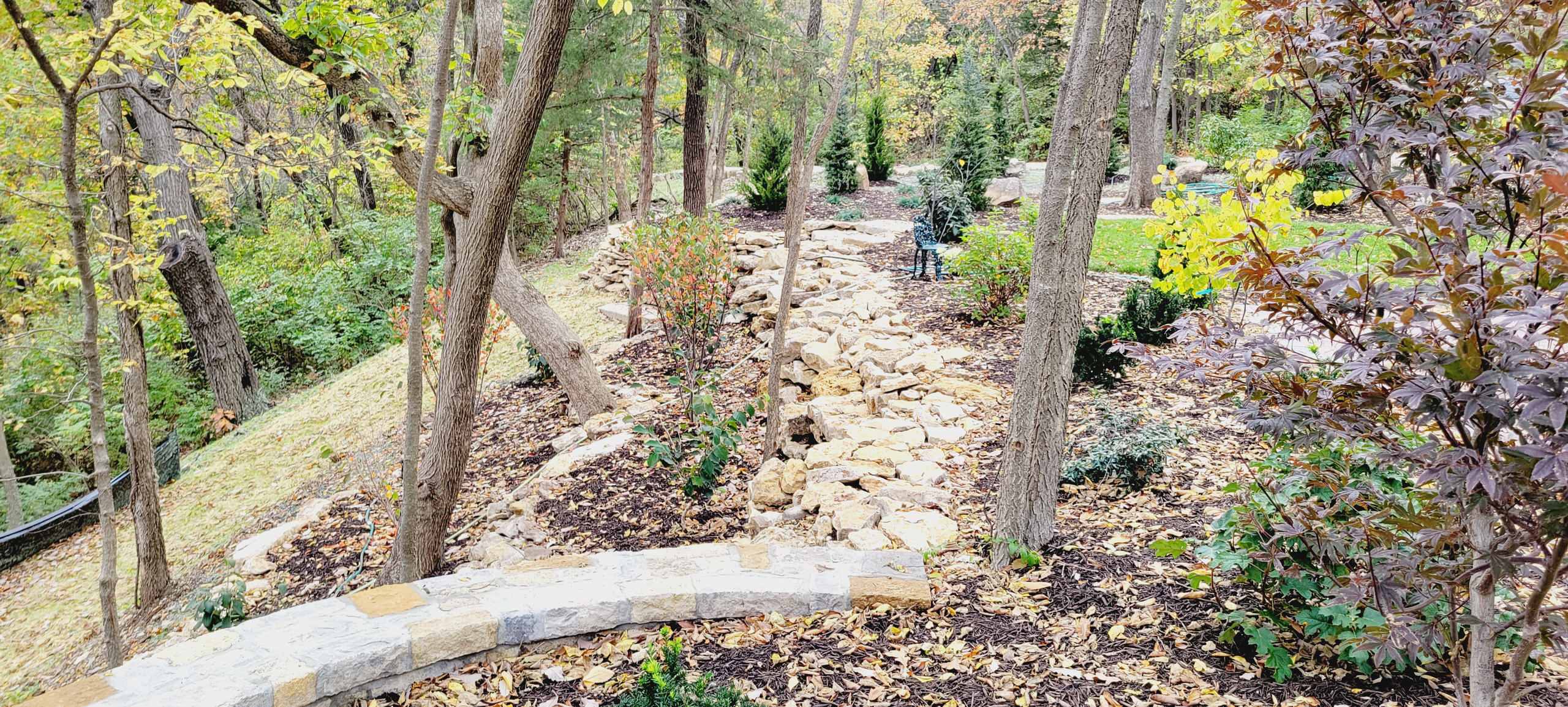 Woodland Restoration