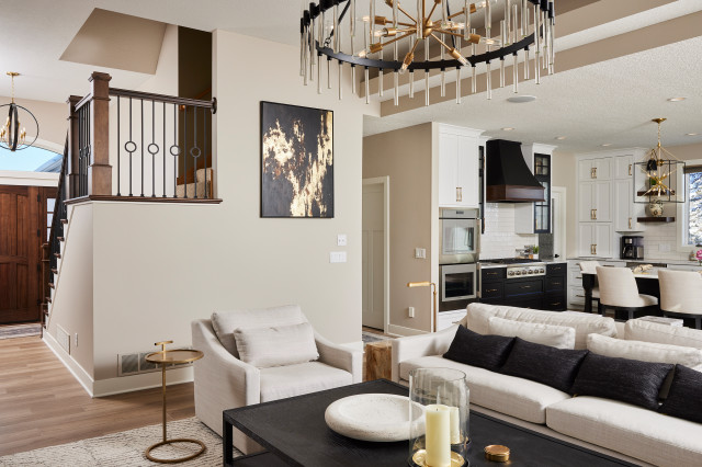 Rural Kitchen Remodel&mdash;Catching up to Life in 2024 contemporary-living-room